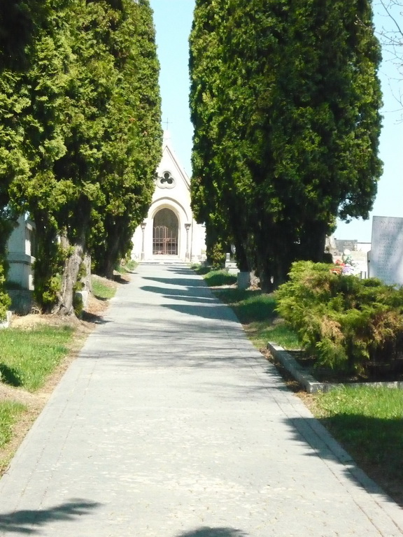 Cintorín Matejovce foto
